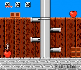 Chip and Dale Rescue Rangers