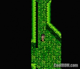 Dragon Buster 2 Yami no Fuuin