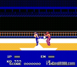 Hiryuu no Ken Special Fighting Wars