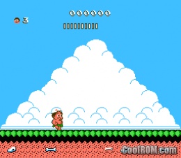 Hudsons Adventure Island 2