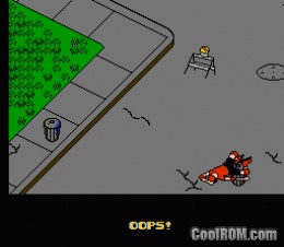 Rollerblade Racer