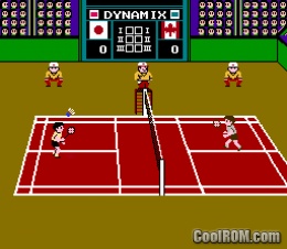 Super Dynamix Badminton