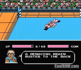 Tecmo World Wrestling