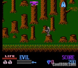 Wizards and Warriors